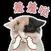 gambar kartu iron man mainan batu gunting *Nikmati juga video YouTube resmi Chunichi Sports